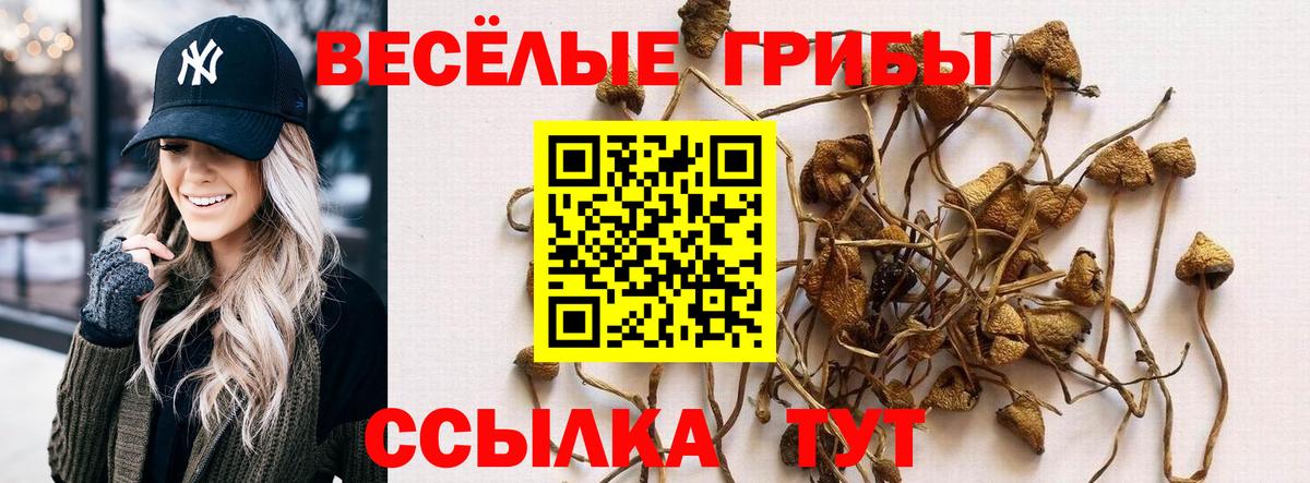 Гагарин  Галлюциногенные грибы Psilocybine cubensis  Вход с VPN 